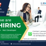 NET developer Job